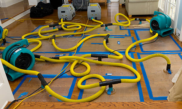 Professional Storm Water Damage Restoration technician working in Plainville, KS